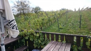 Ausblick obere Terrasse gen Weingärten