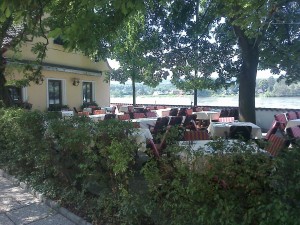 der Gastgarten, im Hintergrund die "schöne blaue" Donau - Restaurant Tuttendörfl  - Korneuburg