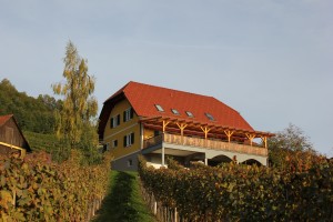 Außenansicht - Blick vom Weingarten - Birkenstub'n - Gamlitz