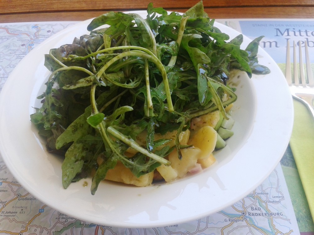 Salat - Stainzerhof - Stainz