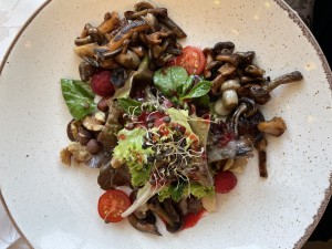 Salat mit Waldpilzen
