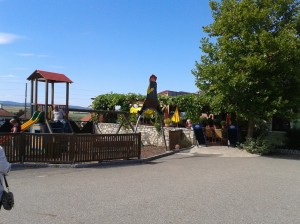 Graselwirtin Kinderspielplatz im Freien