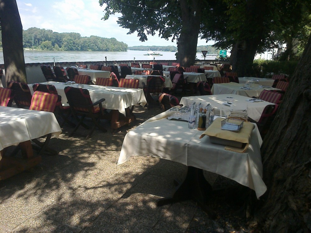 der schöne Gastgarten - Restaurant Tuttendörfl  - Korneuburg