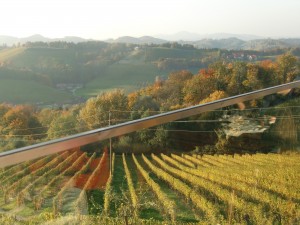 Herbstlicher Ausblick in die Weingärten - Weinhof Nekrep - Gamlitz