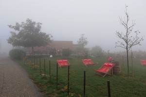 Um seinen Gipfel jagen Nebelschwaden..... :-) - Wieninger am Nußberg - Wien