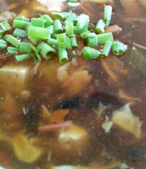 Mishi - Pikant Saure Suppe (EUR 2,80)
