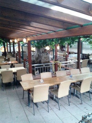 Asia-Restaurant Stammhaus - Im Gastgarten