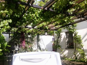 Zum goldenen Anker Weinpergola im Innenhofgarten