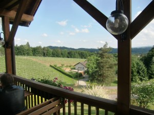 Weingut Buschenschank Kratzer - Blick von der überdachten Terrasse - Weingut Buschenschank Kratzer - Heimschuh