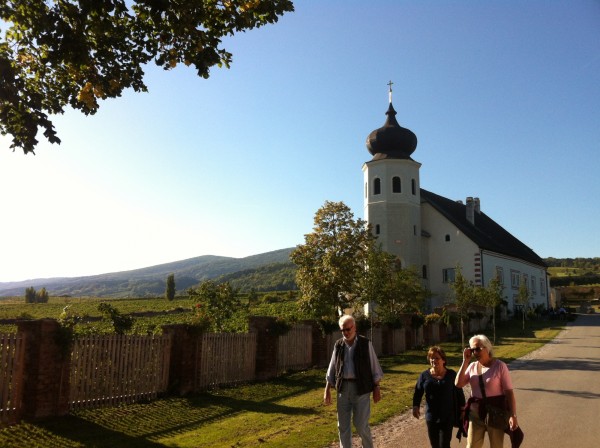 Hinter dem Gasthaus, weites Weinland - Klostergasthaus Thallern - Gumpoldskirchen