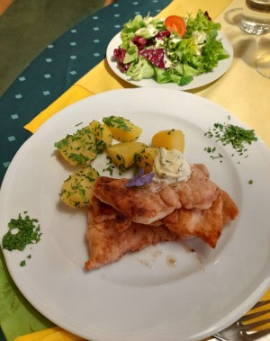 Wels Filet mit Petersilkartoffeln und Blattsalat 25,50 - Gasthaus Schöbinger - Hainfeld
