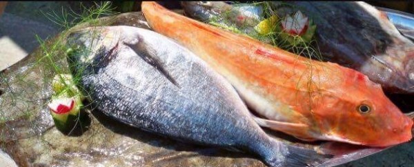 Immer frischen Fisch 2 mal wöchentlich - Ristorante Santo Stefano - Feldkirchen bei Graz