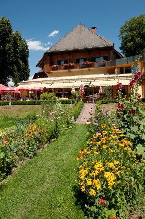 Herausragende Kulinarik aus unserer Naturküche
Genuss auf höchstem Niveau ... - Hotel Restaurant Zollner - Gödersdorf