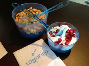 Frozen Yoghurt mit Granatapfel Topping.