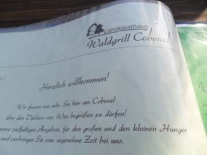 Gasthaus Waldgrill am Cobenzl - Wien