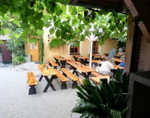 Der unterste Garten..... - Weinbau & Heuriger Edlmoser - Wien