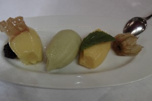 verschiedene hausgemachte Sorbets: (von links) Kalamansi (sauer), grüner Apfel (sauer), Maracuya ...