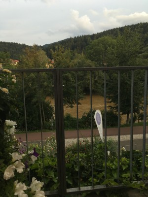 Aussicht von der Terrasse auf die leider braune Mur - Restaurant Riegler - Bruck an der Mur