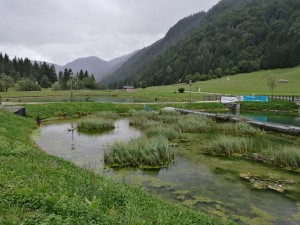 Der Zuchtteich - Forellenranch - St. Ulrich am Pillersee