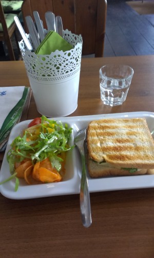 Veggie-Sandwich getoastet mit Salatbeilage. Ausgezeichneter Snack
