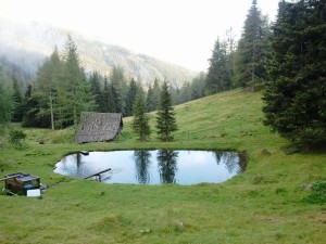der Teich aus dem die fangfrischen Forellen kommen - Falkerthaus - St. Oswald / Bad Kleinkirchheim