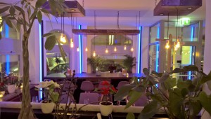 Ambiente mit Grünstauden - JUNN Bar & Kitchen - Wien