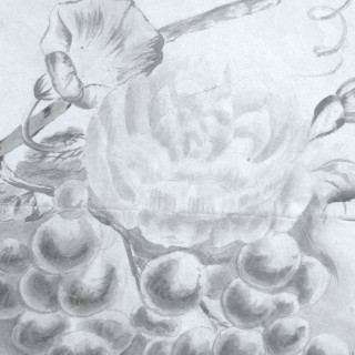 Gaumenzart