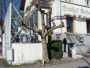 Seehof - Bregenz