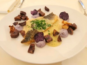Wolfsbarsch, Selleriepüree, Violette Kartoffel - Avita Resort - Bad Tatzmannsdorf