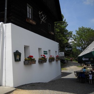 Gasthaus Wildpark - Mautern