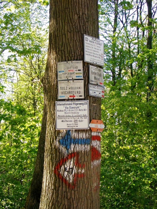 Wegweiser - Wiener Hütte - Kaltenleutgeben