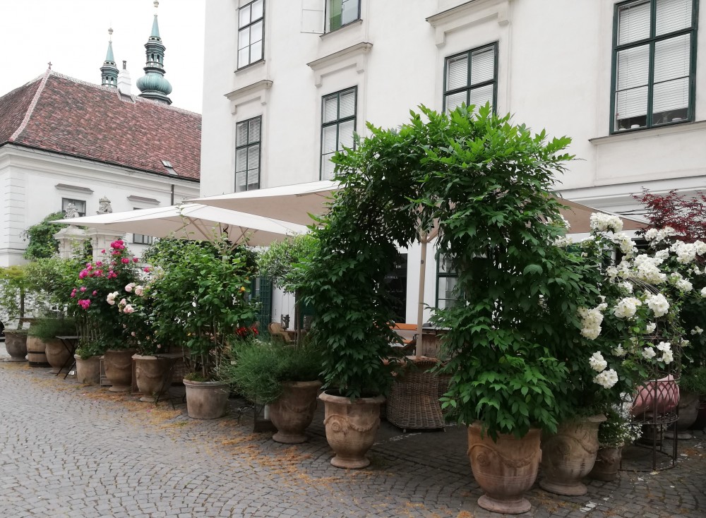 Der Gastgarten im Heiligenkreuzerhof - Buxbaum Restaurant - Wien