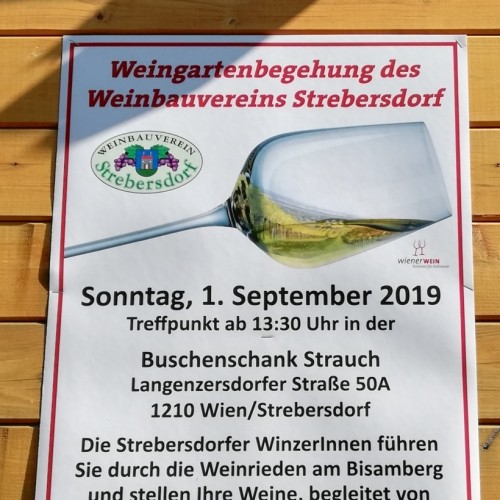 Weingartenbegehung des WBV Strebersdorf