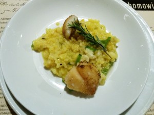 Gebratene Jakobsmuscheln auf Jungschotenrisotto - THOMAWIRT - Graz