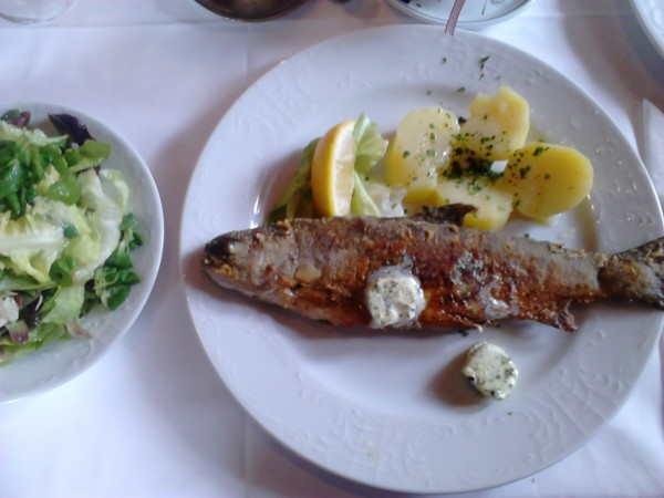 Gebratene Forelle mit Kartoffel und Salat - Gasthof Rettenbachmühle - Bad Ischl