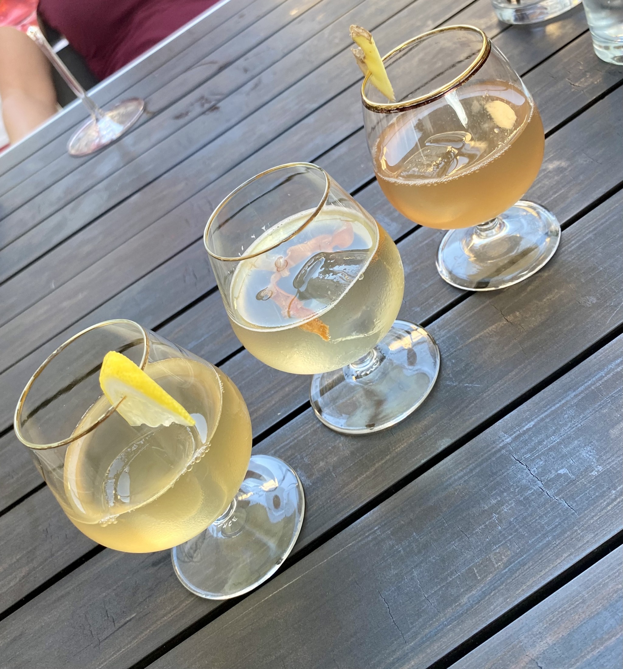 Kombucha- Kostproben - Wildling Foods - Wien