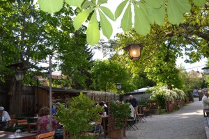 Kierlinger Heuriger
Gastgarten im Sommer - Kierlinger - Wien