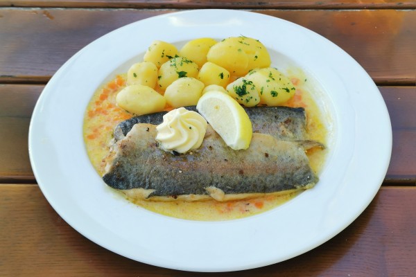 Birner - Gebratene Forellenfilets - Küchenfehler: Letscherte Haut, sonst ... - Strandgasthaus Birner - Wien