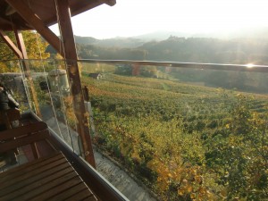 Das Holzgeländer der Terrasse wurde 2015 durch Glas ersetzt - Weinhof Nekrep - Gamlitz