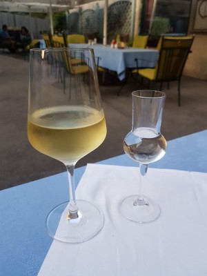 Urgestein Riesling Gobelsburg + Wilde Zwetschke