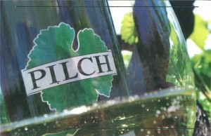 Visitenkarte - Buschenschank Weingut Pilch - Ratsch an der Weinstrasse