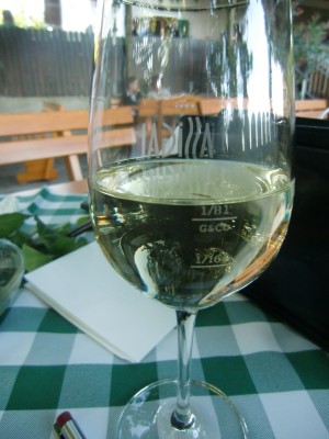 Ein Achterl Sauvignon - gut eingeschenkt - Weingut Buschenschank Assigal - Leibnitz