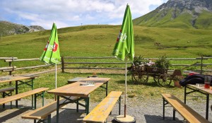 noch mehr Natur im "Gastgarten" - Alpe Monzabon - Zürs