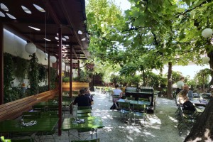 Glacis Beisl - Traumhaftes Wetter für den Gastgarten - Glacis Beisl - Wien