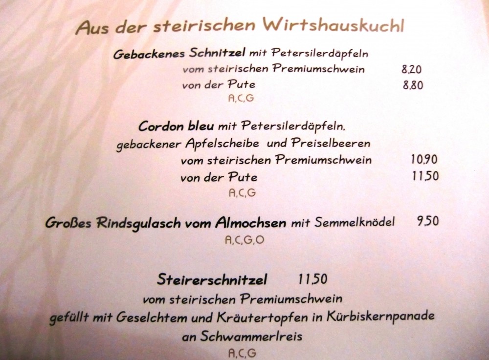 Speisekarte - Aus der Steirischen Wirtshauskuchl - Fischerwirt - Gratwein