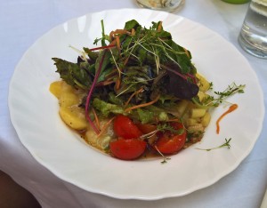 der Salat zum Wels war der Hammer - Gasthaus "Mariandl" - Spitz a. d. Donau
