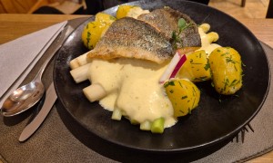 Spargel Weiss und Grün, Sauce Hollandaise, Petersilienkartoffel + Lachsforelle - Der Halbwax, Gasthaus zum St. Florian - Lichtenwörth