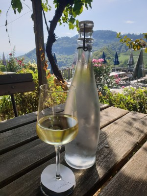 Sämling - Weingut und Buschenschank Koller - Kitzeck im Sausal