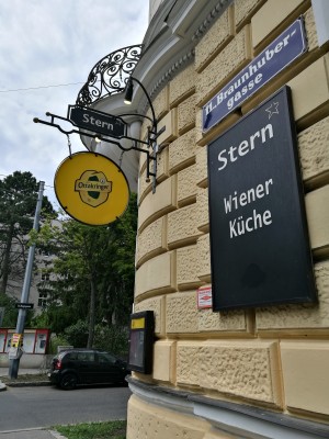 Stern - Wien
