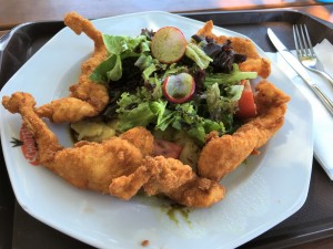 Backhendlsalat - Biergarten Schlossberg - Graz